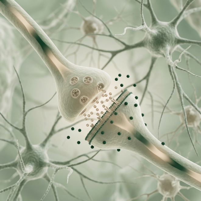 Nervous System Balance